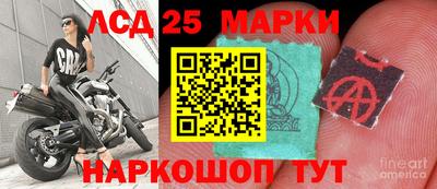 гидра Новодвинск
