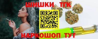 гидра Новодвинск