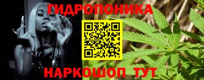 гидра Новодвинск