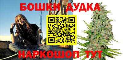 гидра Новодвинск